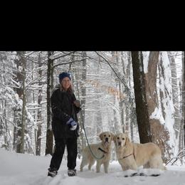 Golden Retriever Puppies from Southern Utah Goldens