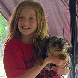 Carlee AKC full rights - Black and tan female Yorkshire Terrier puppy in Elizabethtown, Kentucky from Teeny Tiny Puppy Tails
