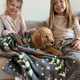 Golden Retriever Puppies from Graceful Goldens