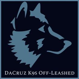 Blue Boy - Black and tan male German Shepherd puppy in Shelton, Connecticut from DaCruz K9s