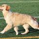 Italia