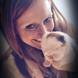 Bulldog and French Bulldog Puppies from Crystals Bulldog Bungalow