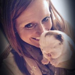 Bulldog and French Bulldog Puppies from Crystals Bulldog Bungalow