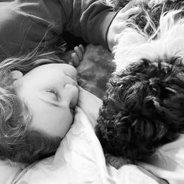 Lagotto Romagnolo Puppies from Anna’s Lagottos