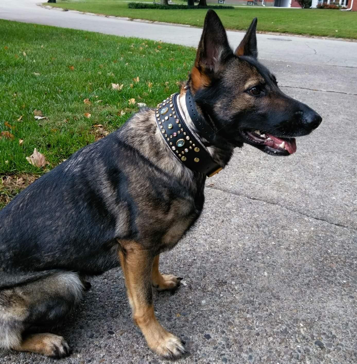 Dyna