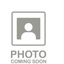Boy 5 - Tri-color male Cavalier King Charles Spaniel puppy in Grand Prairie, Texas from Westchester Cavaliers