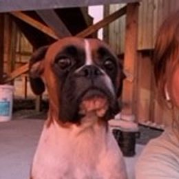 Boxer All Grown Up from Magen's Boxers