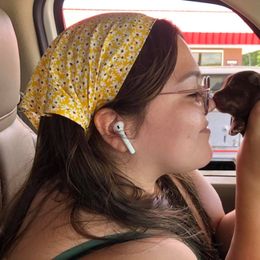 Aussiedoodle, Australian Shepherd, Miniature American Shepherd, and Miniature Australian Shepherd Puppies from Bline's Awesome Aussies