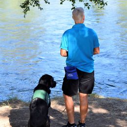 Labrador Retriever All Grown Up from Breeding Coordinator at Dogs for Better Lives