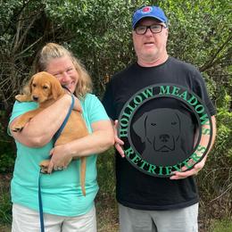 Green Boy - Yellow male Labrador Retriever puppy in Monticello, Georgia from Hollow Meadows Retrievers