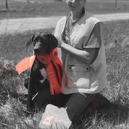 Tilly - German Shorthaired Pointer