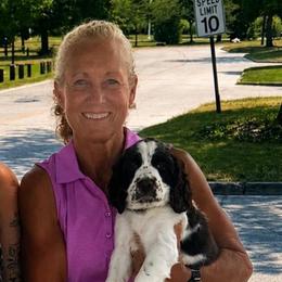 Trip - Liver white and roan male English Springer Spaniel puppy in Braidwood, Illinois from A & R Springers