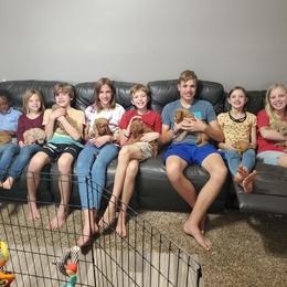 Goldendoodle Puppies from Broderick Goldendoodles