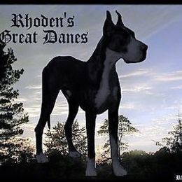 Great Danes from Terrie Rhoden Kirkland