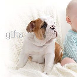 Bulldog Puppies from Our House Of Treasures