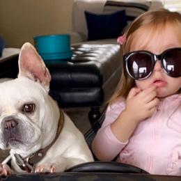 French Bulldogs from L.A. French Paws