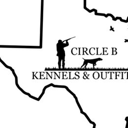 German Shorthaired Pointers from CIRCLE B KENNELS & OUTFITTERS