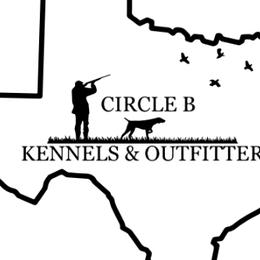 German Shorthaired Pointers from CIRCLE B KENNELS & OUTFITTERS