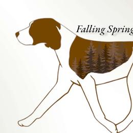 Treeing Walker Coonhounds from Falling Springs Kennel