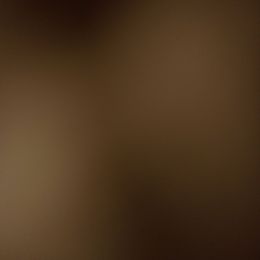 Jacinth - Black and white female Shetland Sheepdog puppy in Minnesota from Sheltie Puppies