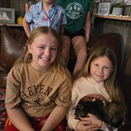 Autumn - Brindle and white female Shihpoo puppy in Mason, Illinois from Rockiń N Kennel