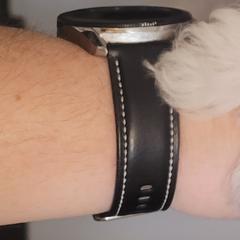 Mi-Kis and Shih Tzus from Tiny Tzu Mighty Shih Tzus & Mi-Kis