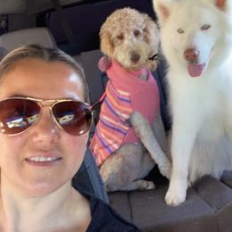 Goldendoodles and Poodles from Goldendooddle  /Gardy 🐾🐾