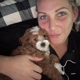 Bernedoodle and Goldendoodle Puppies from Pecks Oodle Doodles