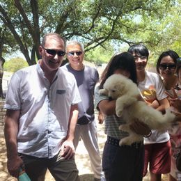 Samoyed Puppies from Hill Country Samoyeds