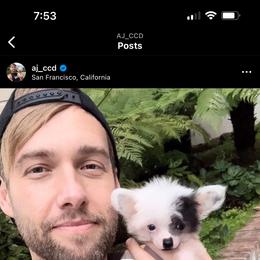 Chinese Crested Puppies from Lucky Star Chinese Crested Dog