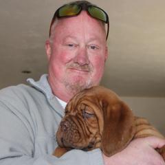 Boy 1 - Dogue de Bordeaux puppy from HOT DIGGITY DDB