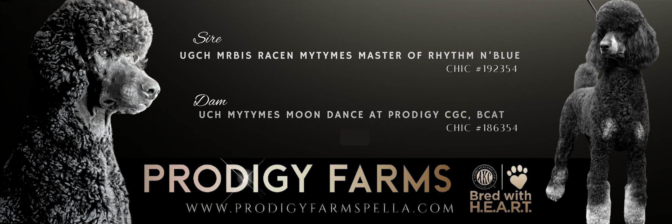 UGCH MRBIS RACEN Everly