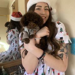 Golden Retriever and Poodle All Grown Up from Meagan Nielson’s Precious Pups