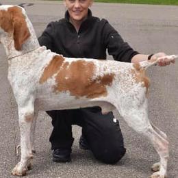 Bracco Italianos from Patriot Point