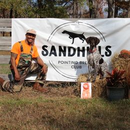 Frisché Luft - German Shorthaired Pointer