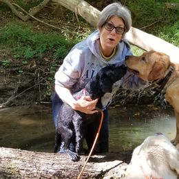 Labrador Retriever Puppies from Roxanne Lee
