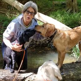 Labrador Retriever Puppies from Roxanne Lee