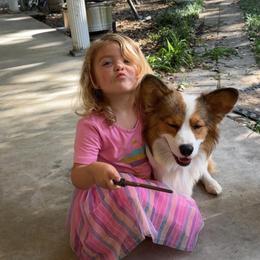 Pembroke Welsh Corgi Puppies from Rhone River Farm Pembroke Welsh Corgis