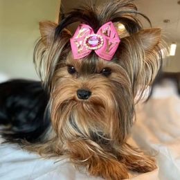 Yorkshire Terriers from BabydollYorkiesofTexas