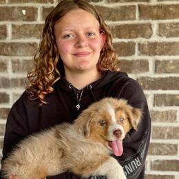 Kodiak - Red merle male Australian Shepherd puppy in Herriman, Utah from Painted Blue Aussies