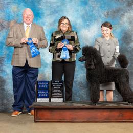 Poodle Puppies from Antigua Standard Poodles