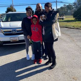 Cavalier King Charles Spaniel Puppies from CK Cavaliers