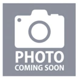 Vixen-Pink Collar - Fawn female Pug puppy in New Braunfels, Texas from Kex Pug Haus