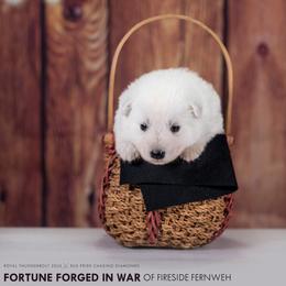 Black collar - White male Berger Blanc Suisse puppy in Chestnut, Illinois from Fireside Fernweh