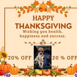 Snickerdoodle - Black sabled fawn male Chihuahua puppy in Camden, New Jersey from Maldonado Pet Life Breeder LLC.