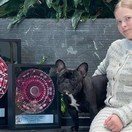 French Bulldogs from Mayfair French Bulldogs