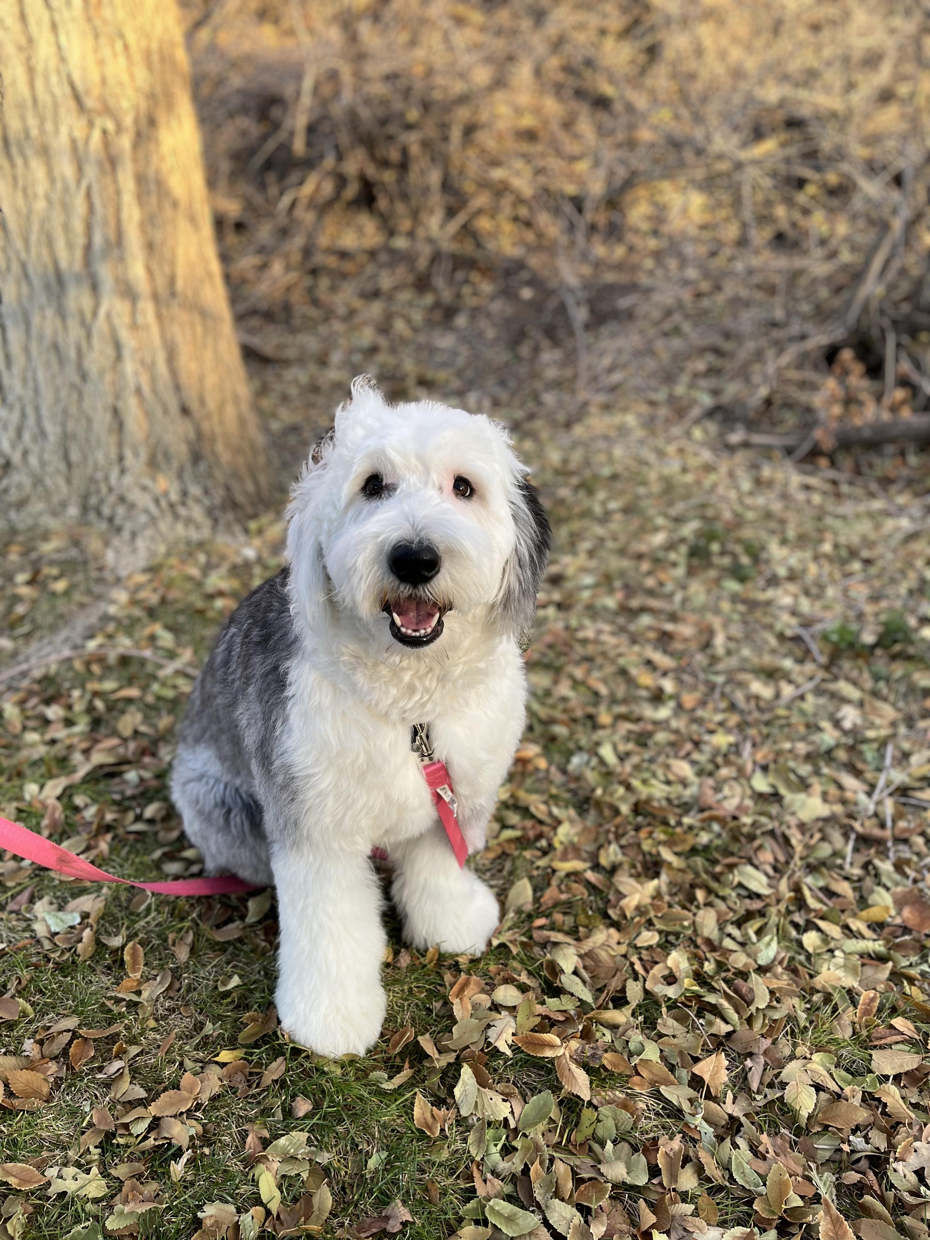 Winnie