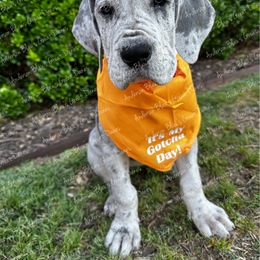 Great Dane Puppies from Anderson Blau’s Great Danes