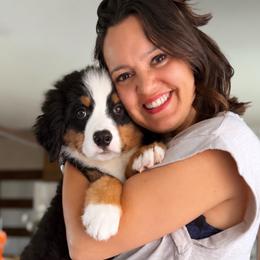 Mango - Tri-color male Bernese Mountain Dog puppy in Yuciapa, California from AlltheDoodlez_
