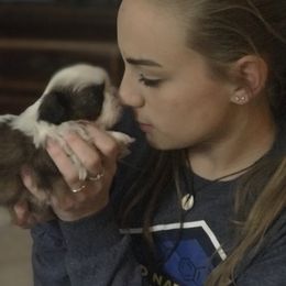 Shih Tzu Puppies from Willow Lane Shih Tzus